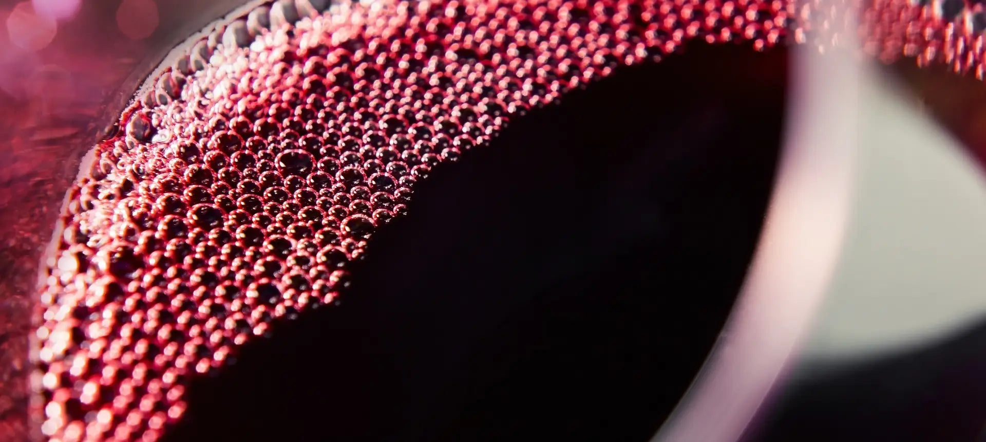 Lambrusco dell'Emilia Romagna