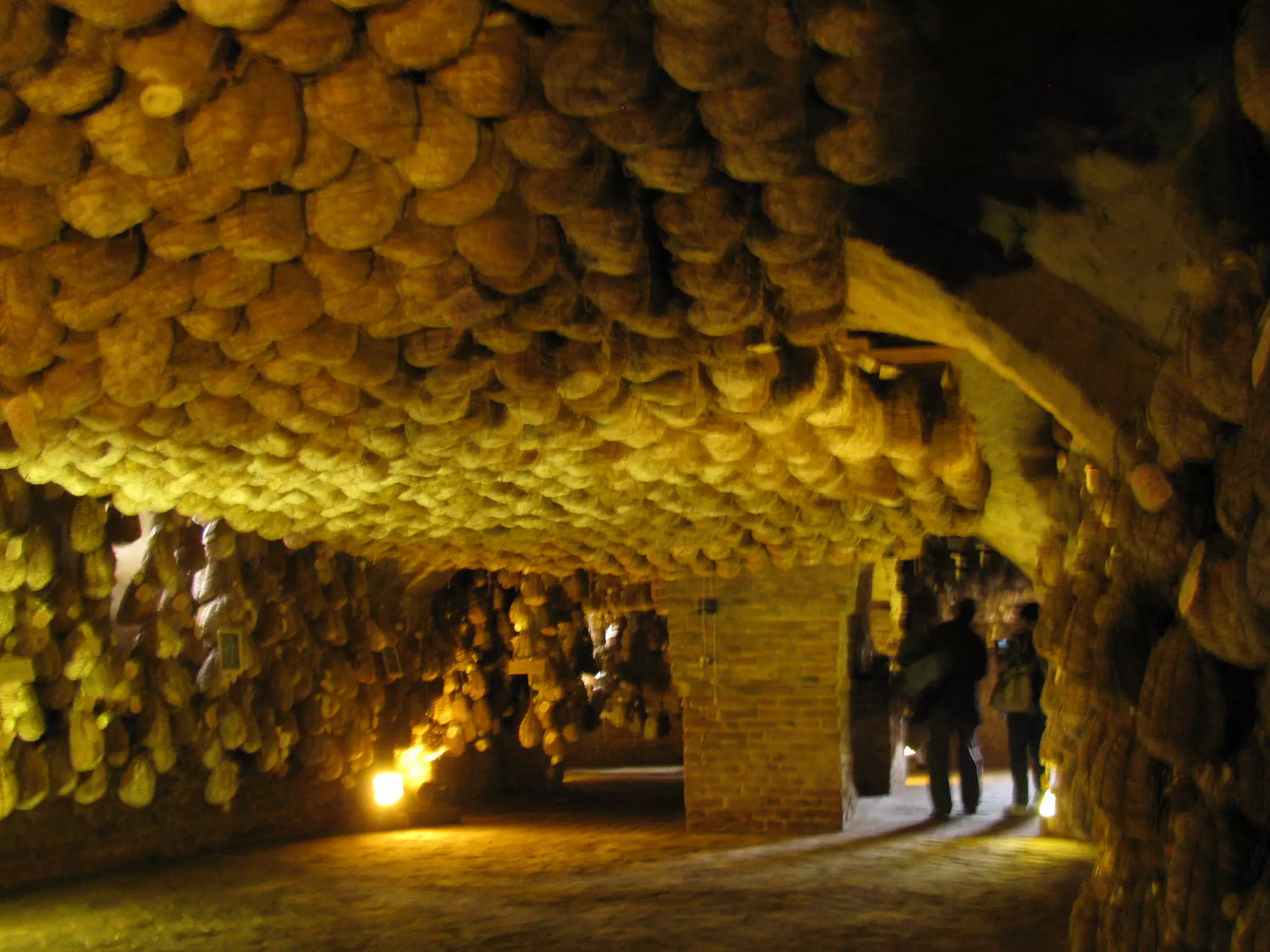 Cantina rustica con prosciutti appesi, illuminata dolcemente, crea un'atmosfera suggestiva e autentica esperienza italiana.