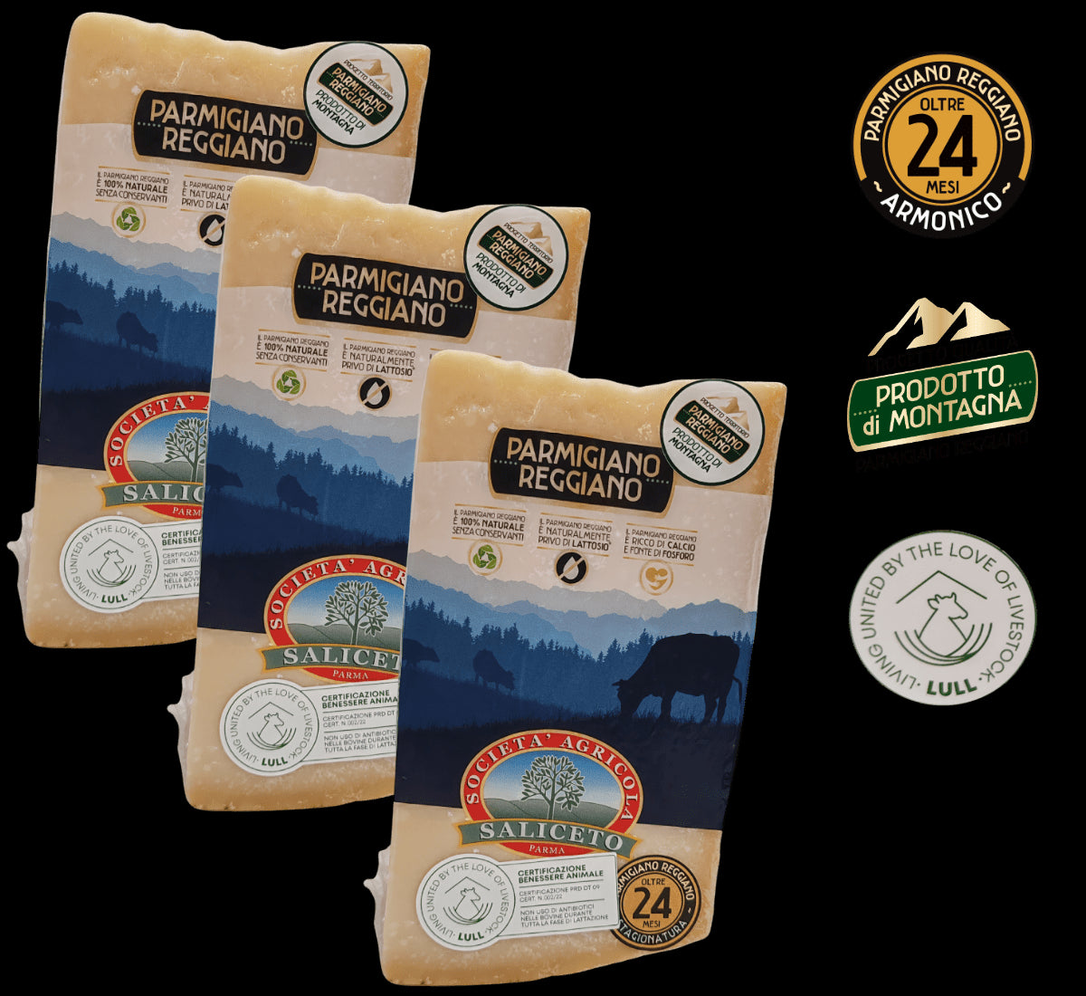 Tre blocchi di Parmigiano Reggiano DOP di Montagna, stagionati per 24 mesi, pesanti 1.35 kg ciascuno, con distintivo logo Prodotto di Montagna.