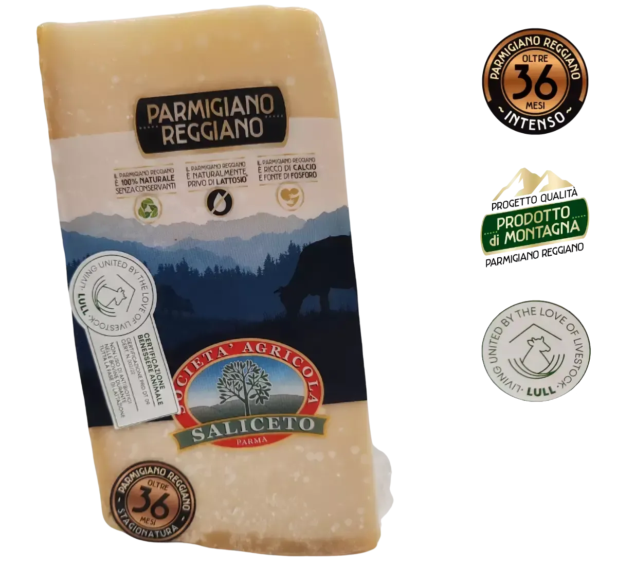 Eppicotispai Coltello Per Parmigiano E Formaggi Duri - Manico In Legno Di Faggio - Lama In Acciaio Inox 16,5 Cm - Prodotto In Italia
