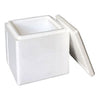 Box isotermico di polistirolo.