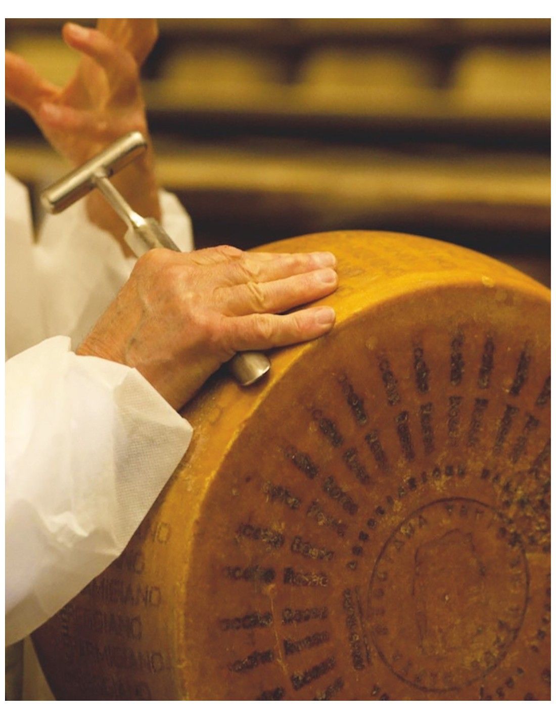 Parmigiano Reggiano Cheese: Shipped to your door. Fast Free