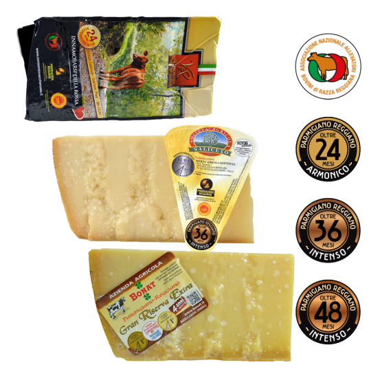 Parmigiano Reggiano DOP - Gourmet Selection
