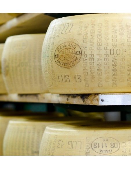 Parmigiano Reggiano DOP 25 snack - 25 x 20 gr (tot. 500 gr)