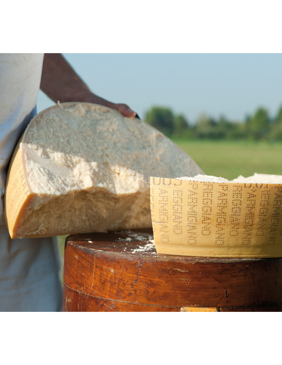 Parmigiano Reggiano PDO - From Hill - 36 Months (1.0 Kg. / 2.20 Lbs.)
