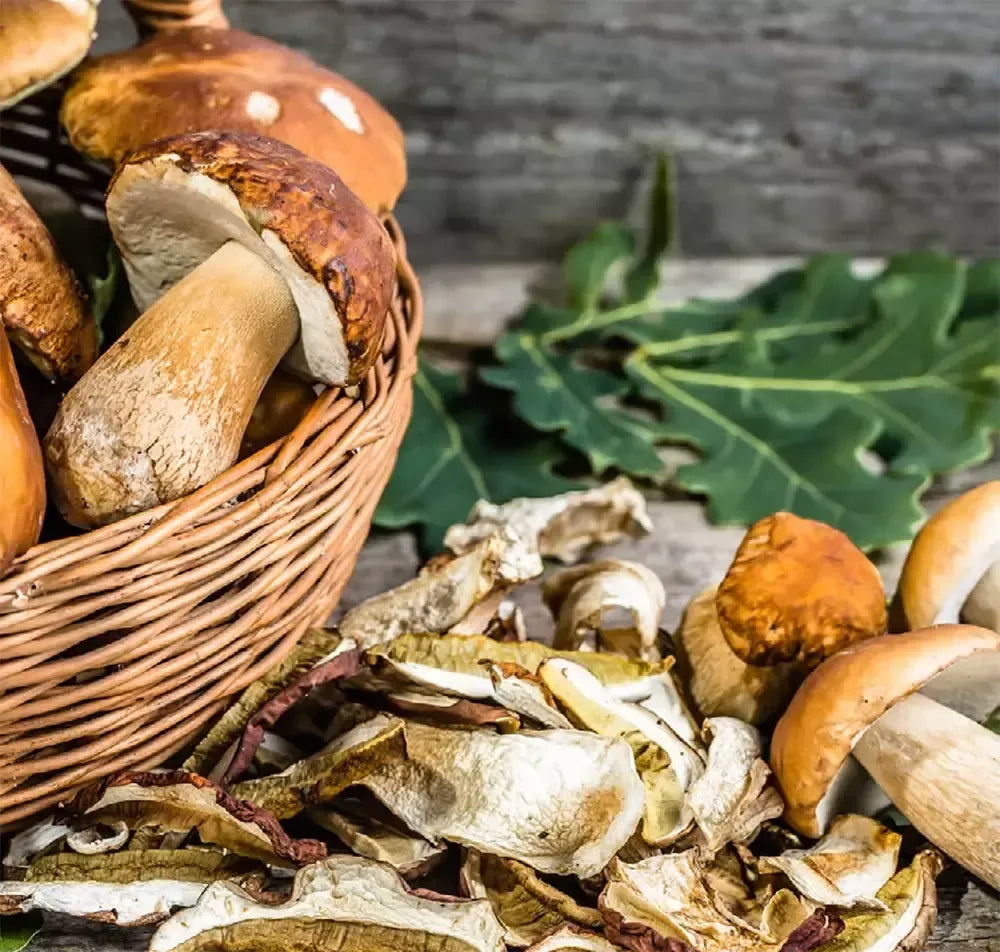 Un cesto di funghi porcini, secchi e freschi, posati su un tavolo rustico evoca la cucina gourmet e il gusto autentico dell'autunno.