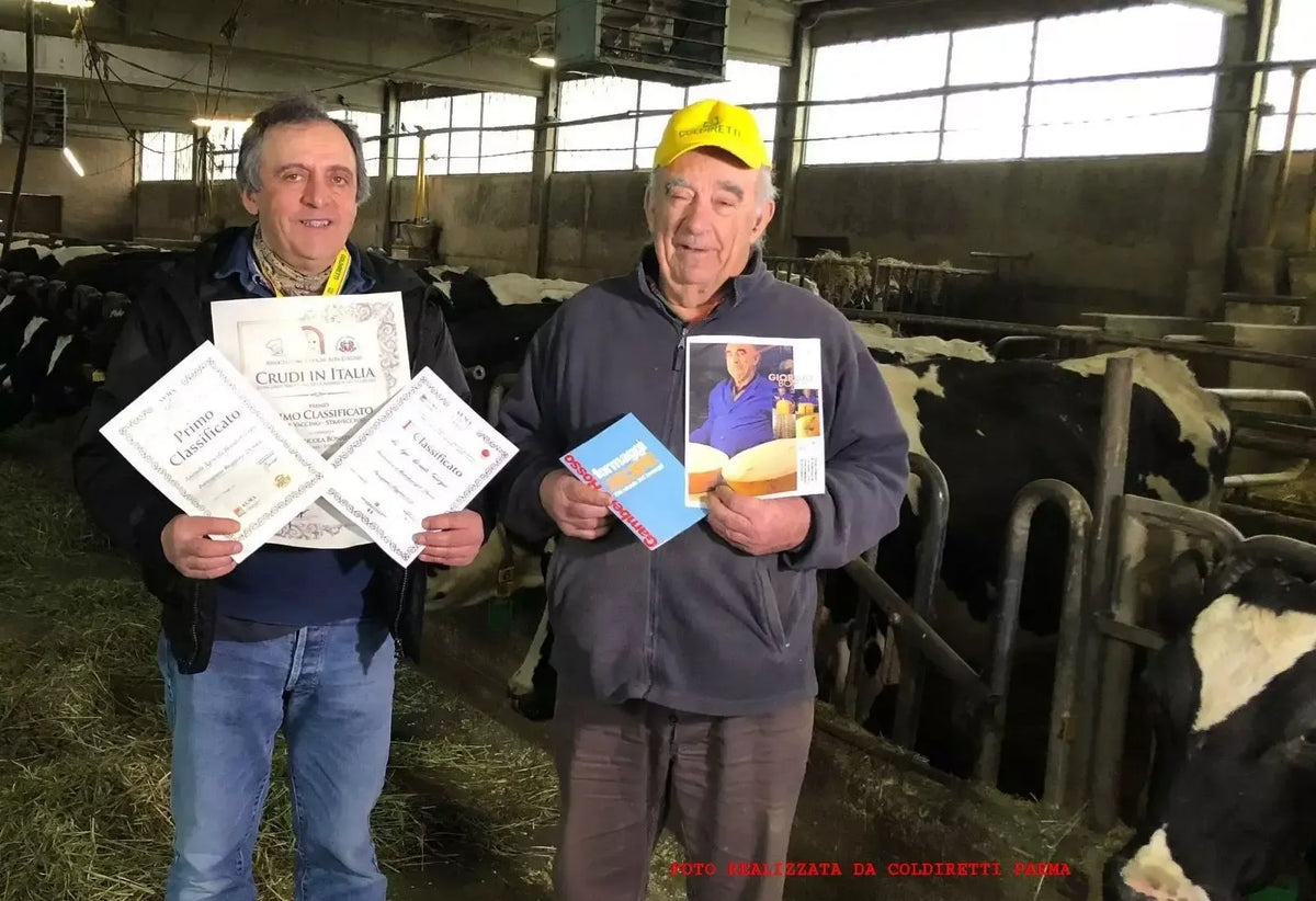 In una stalla piena di mucche, due casari felici esibiscono con orgoglio i certificati di qualità, testimonianza dell'eccellenza del Parmigiano Reggiano Bonat.