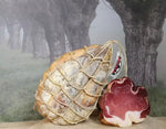 Un intero Fiocchetto di Prosciutto, stagionato per 6 mesi e appeso con una corda, si presenta succulento su uno sfondo nebbioso di alberi.