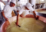 Artigiani casari impegnati nella lavorazione del formaggio, all'interno di una vasta tina di rame.