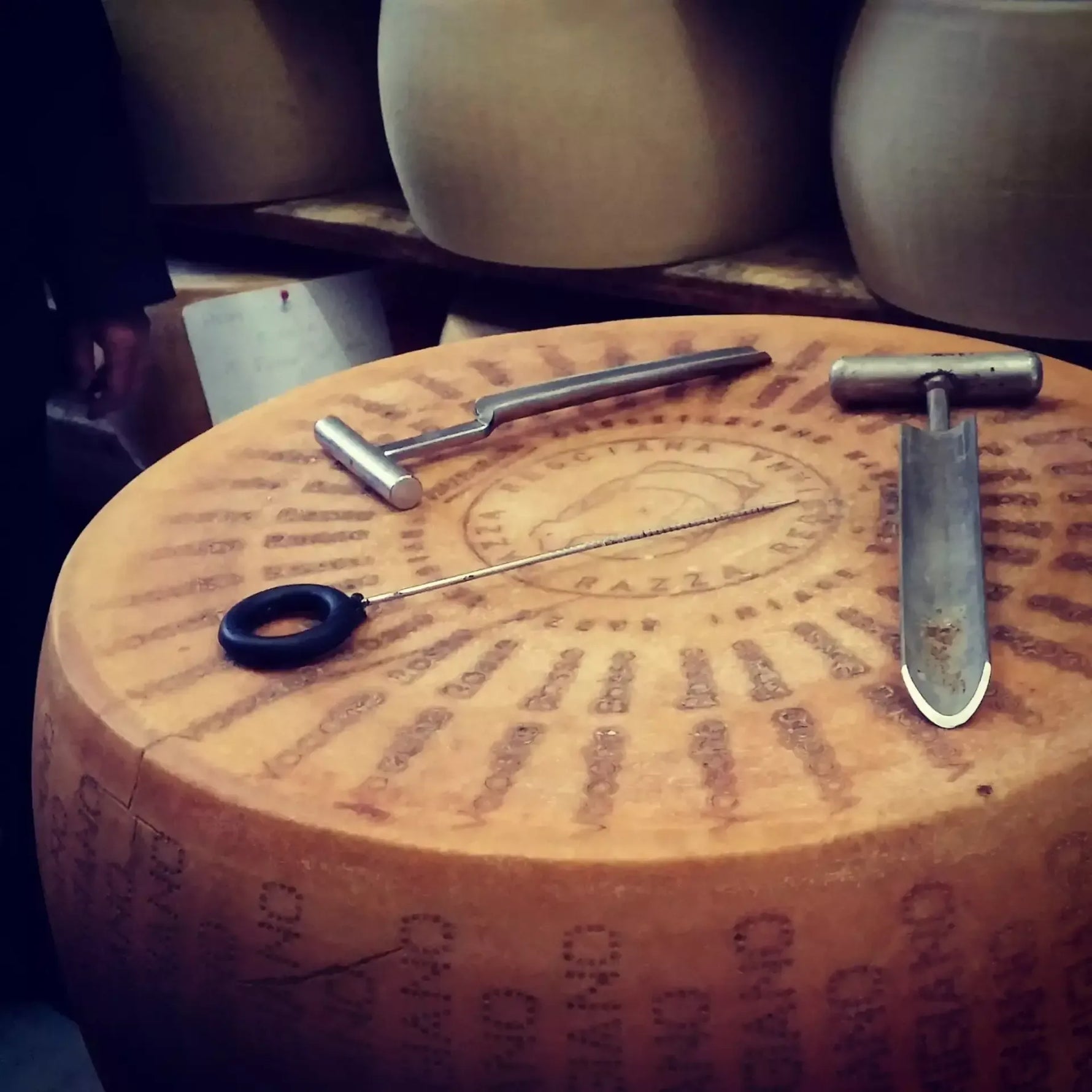 Parmigiano Reggiano DOP da vacche rosse stagionato 24 mesi, presentato con attrezzi da taglio su una superficie ruvida nel suo ambiente di stagionatura.