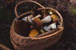 Un cesto rustico pieno di deliziosi funghi porcini secchi, perfetti per aggiungere un tocco autunnale ai risotti e ai piatti gourmet.
