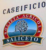 Logo della Società Agricola Saliceto, rinomato caseificio di Parma, celebre per il suo Parmigiano Reggiano DOP di montagna, stagionato 24 mesi.