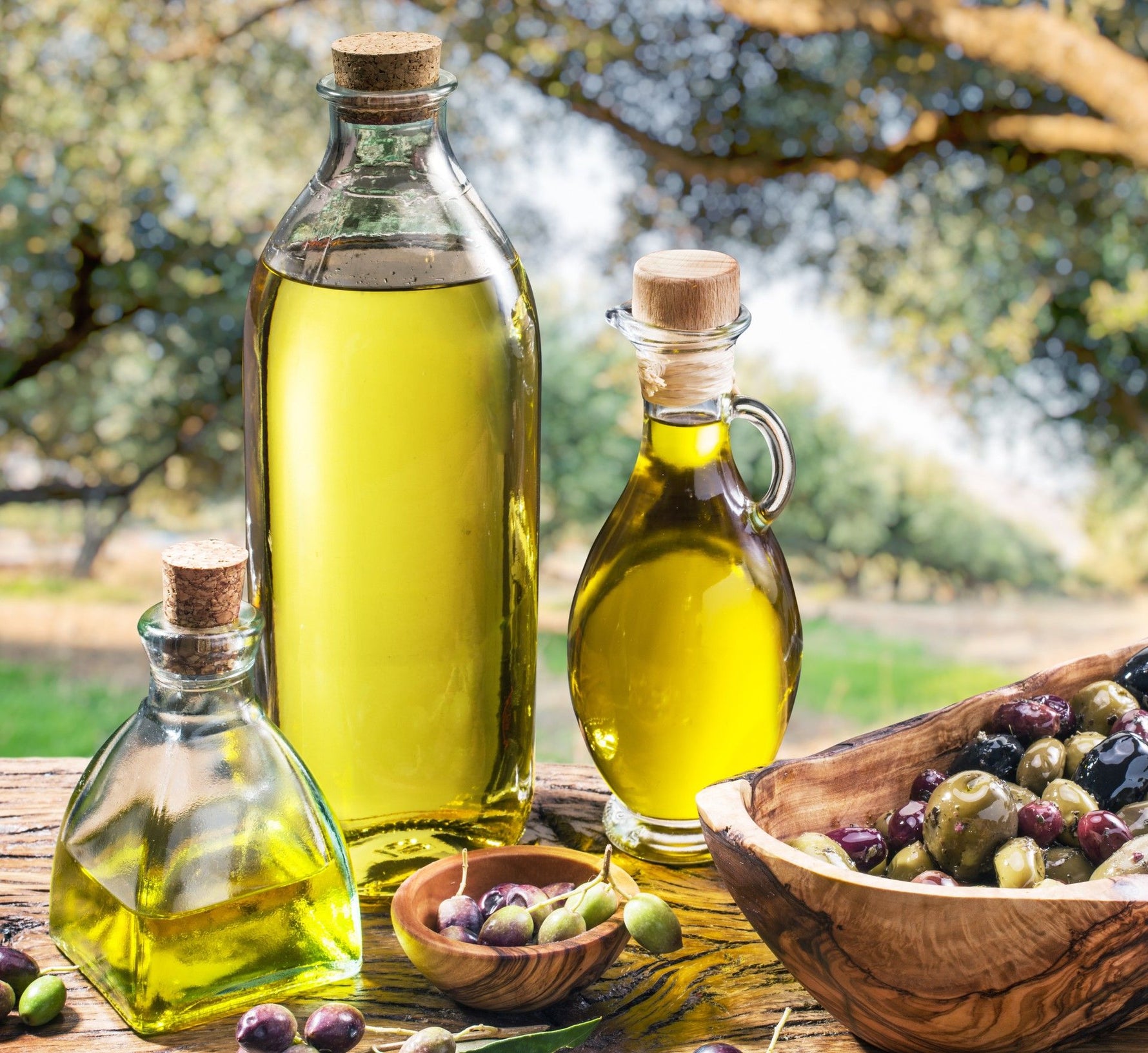 Guasco, olio d'oliva di qualità, presentato in bottiglie in un contesto naturale, arricchito da olive appena raccolte e alberi in lontananza.