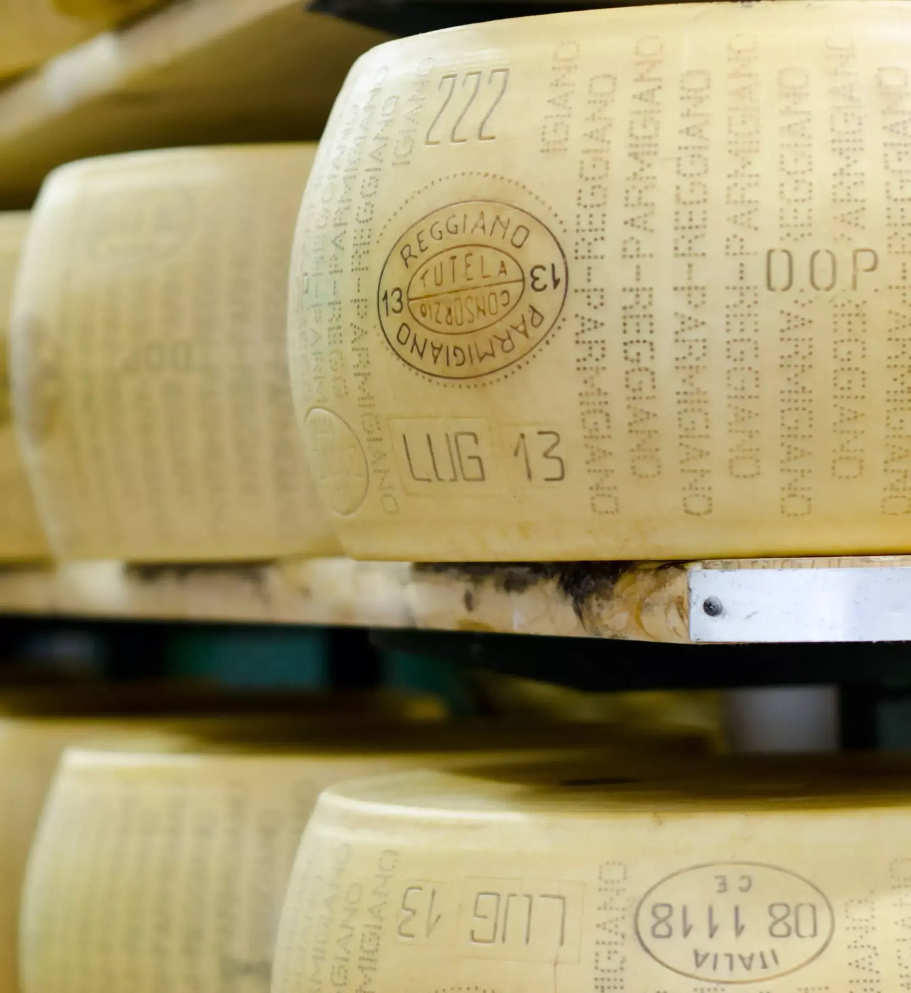 Forme di Parmigiano Reggiano DOP stagionate per 24 mesi, con etichetta Vacche Rosse, allineate su uno scaffale di legno in una cantina.