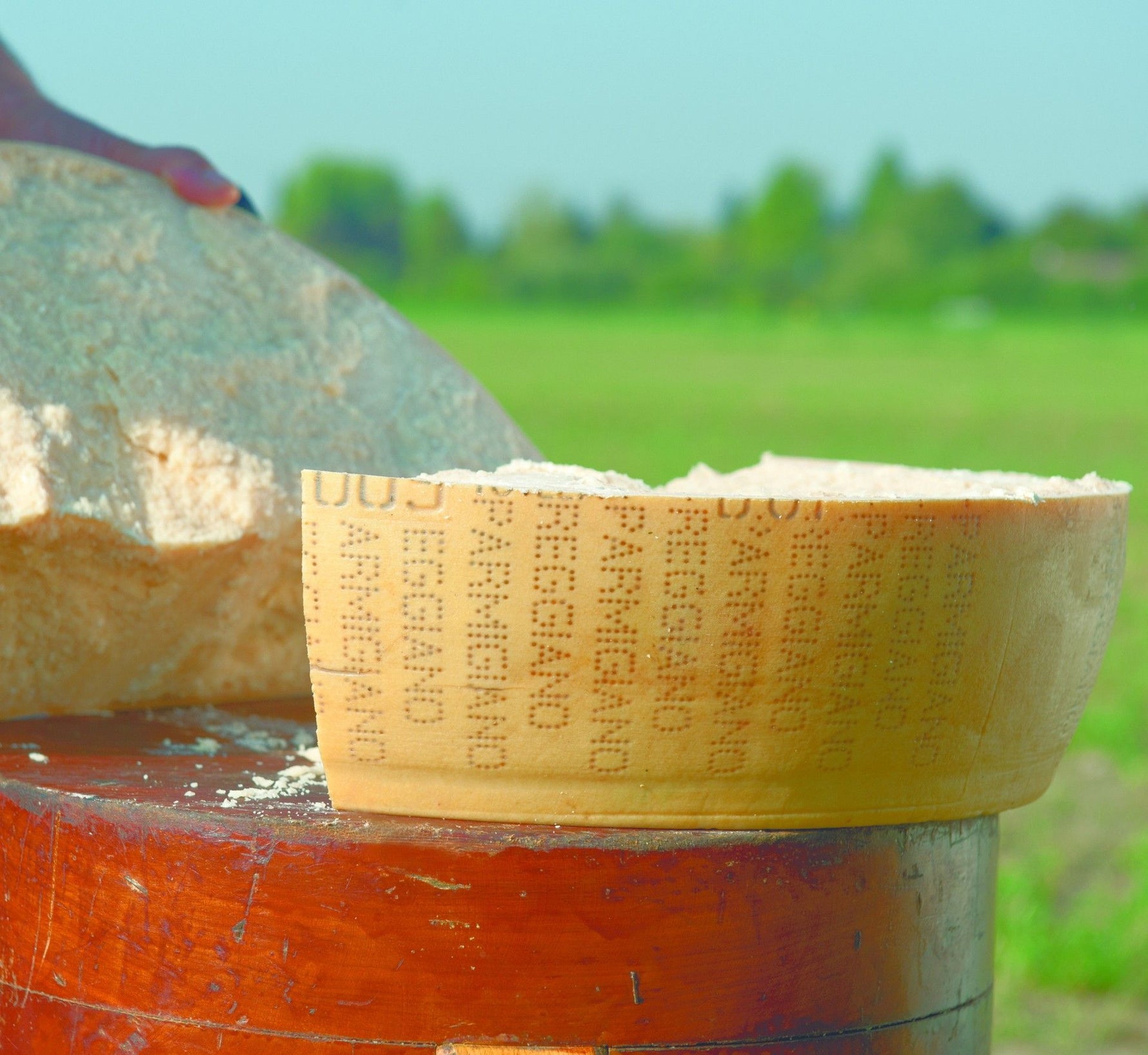 Un'autentica forma di Parmigiano Reggiano DOP di Montagna, maturata per 24 mesi e presentata su una tavola di legno, ideale per un regalo gourmet.