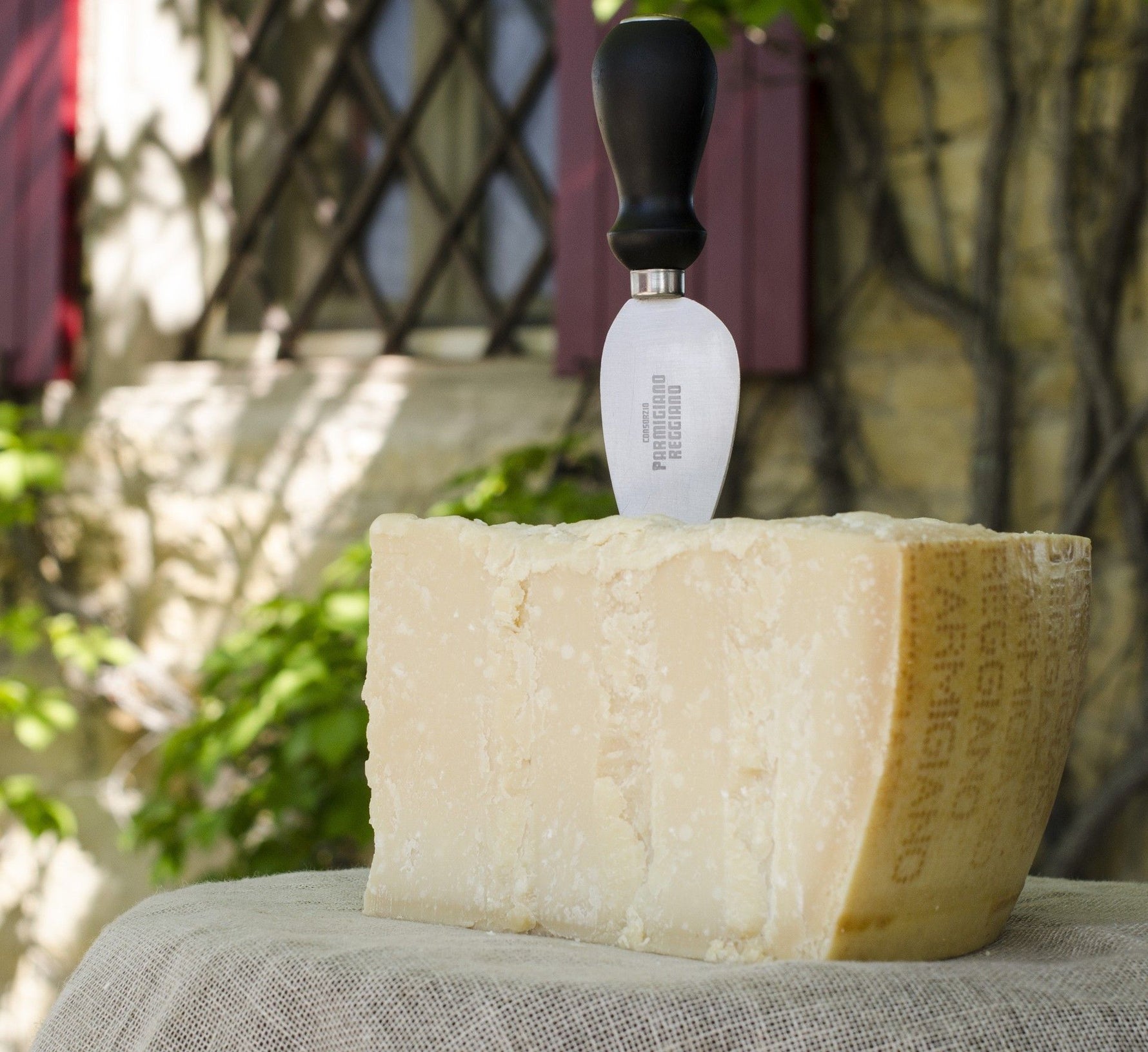 Un coltello a mandorla munito di un manico nero sta incidendo un blocco di Parmigiano Reggiano, realizzando tagli precisi ed eleganti.