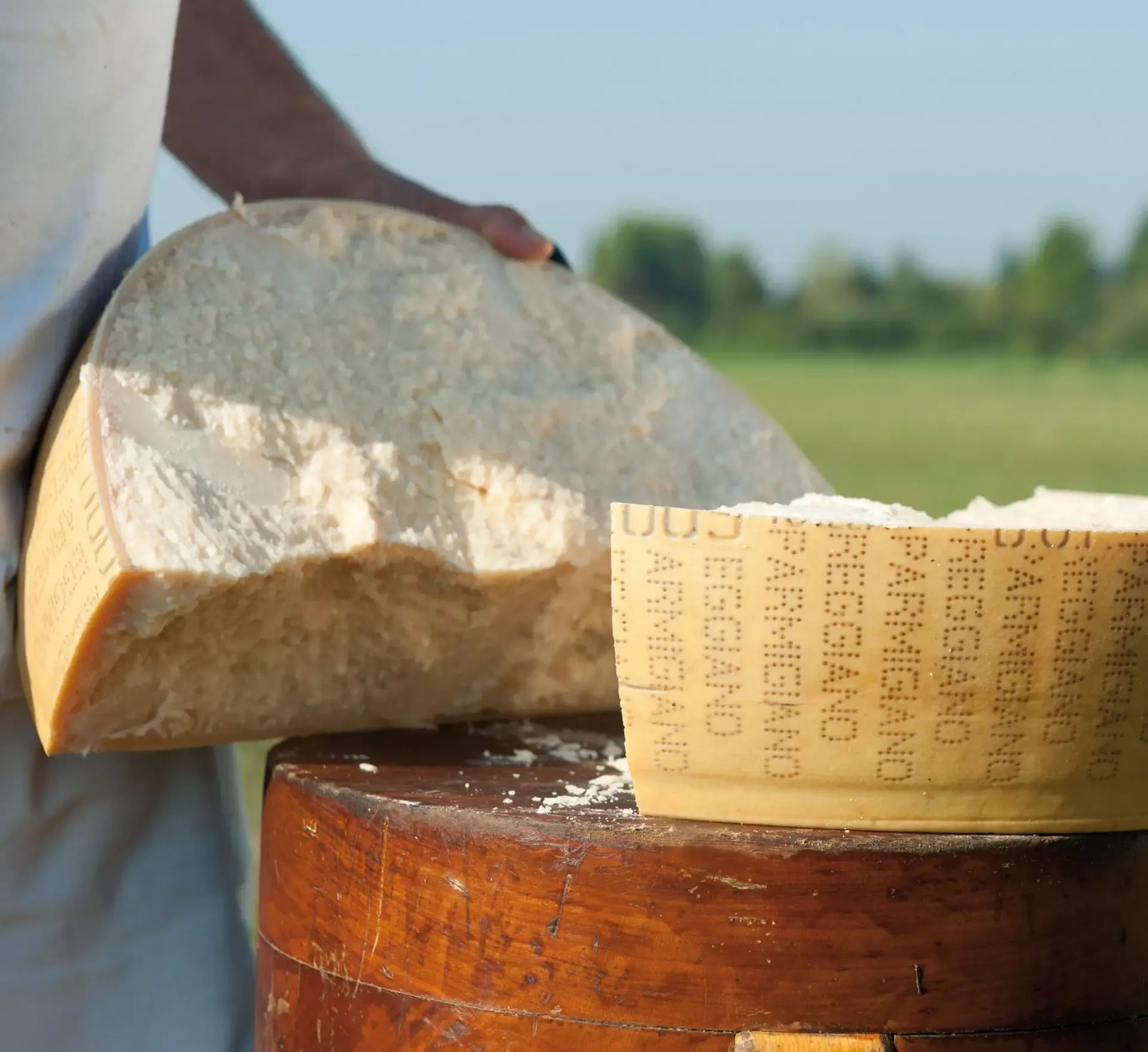 Un Parmigiano Reggiano DOP Vacche Rosse, invecchiato 24 mesi, biologico, riposa su una tavola rustica in attesa di essere assaporato.