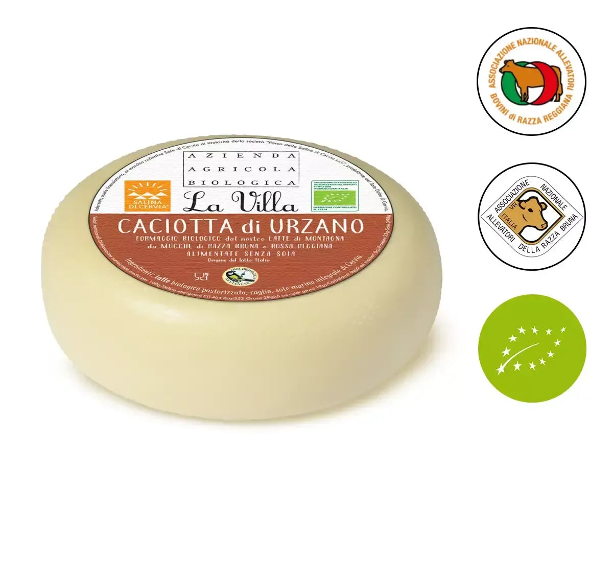 Una caciotta di Urzano, formaggio italiano di qualità, si presenta su sfondo bianco, esibendo sigilli di autenticità biologica e tradizionale.
