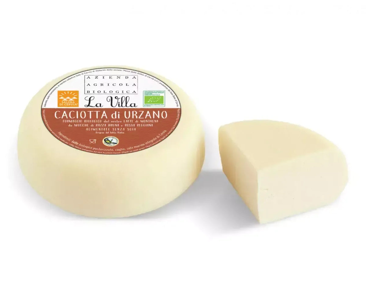 Een biologische caciotta uit Urzano, met een delicate smaak, is strategisch gesneden en op een witte achtergrond geplaatst.