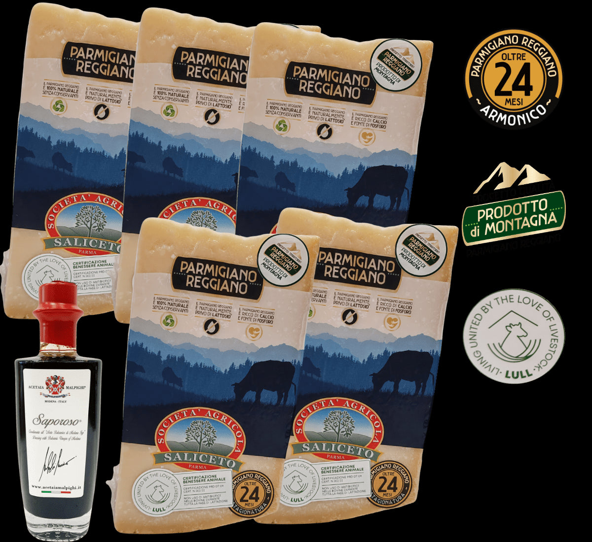 Stukjes kostbare Parmigiano Reggiano, 24 maanden gerijpt, met balsamicoazijn en bergstickers, superieure kwaliteit.