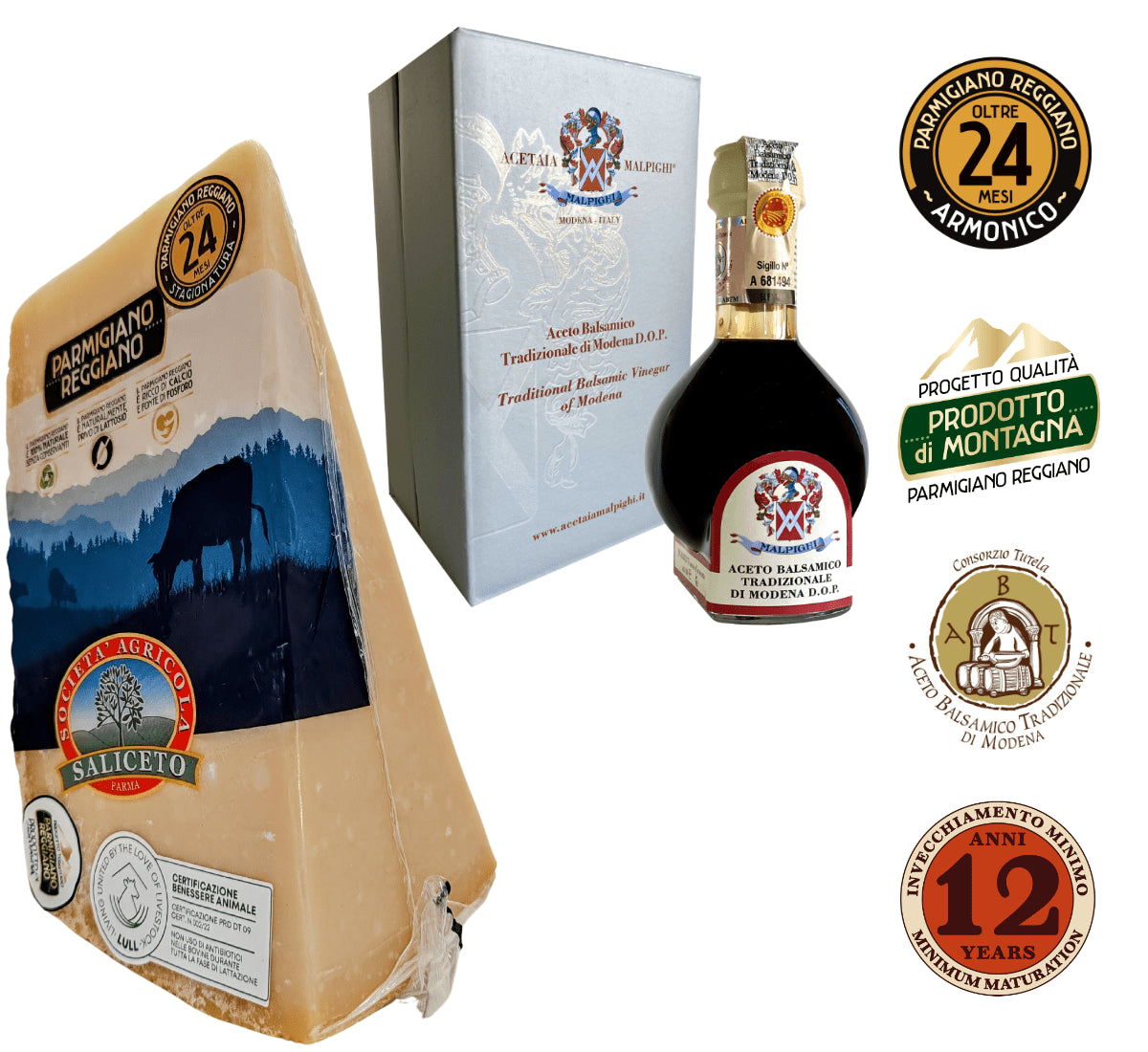 Scopri le eccellenze emiliane: il Parmigiano Reggiano DOP stagionato 24 mesi e l'autentico Aceto Balsamico Tradizionale di Modena.
