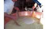 Due abili artigiani stanno sollevando con cura la cagliata bianca da una caldaia di rame, simbolo di una secolare tradizione nella creazione del parmigiano.
