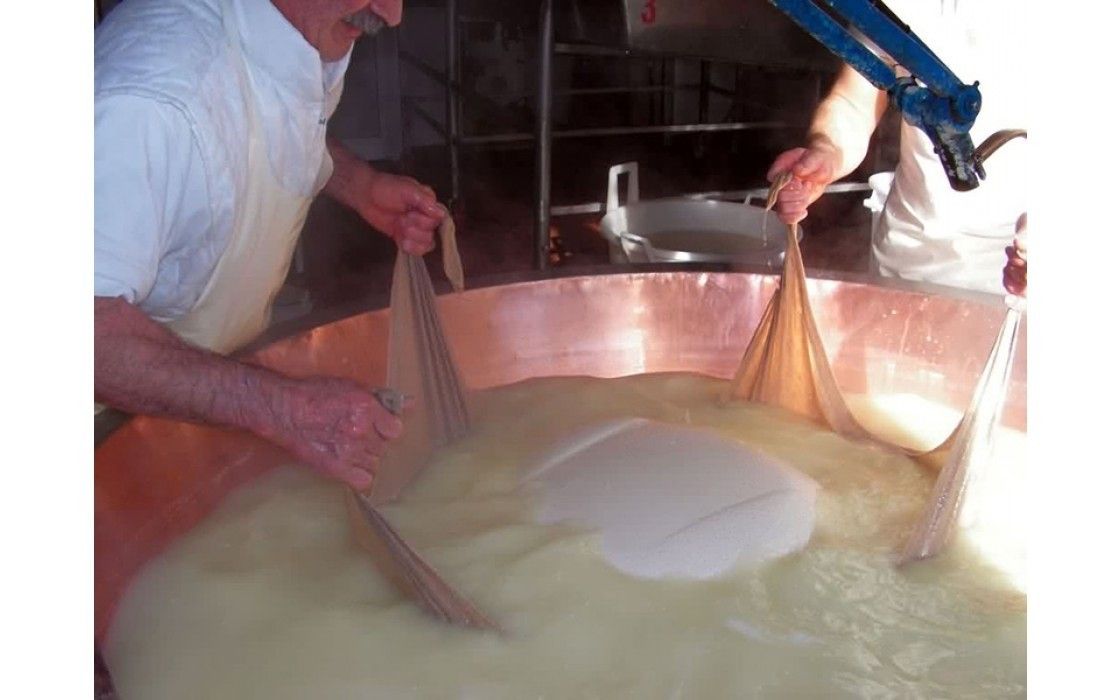 Due abili artigiani stanno sollevando con cura la cagliata bianca da una caldaia di rame, simbolo di una secolare tradizione nella creazione del parmigiano.