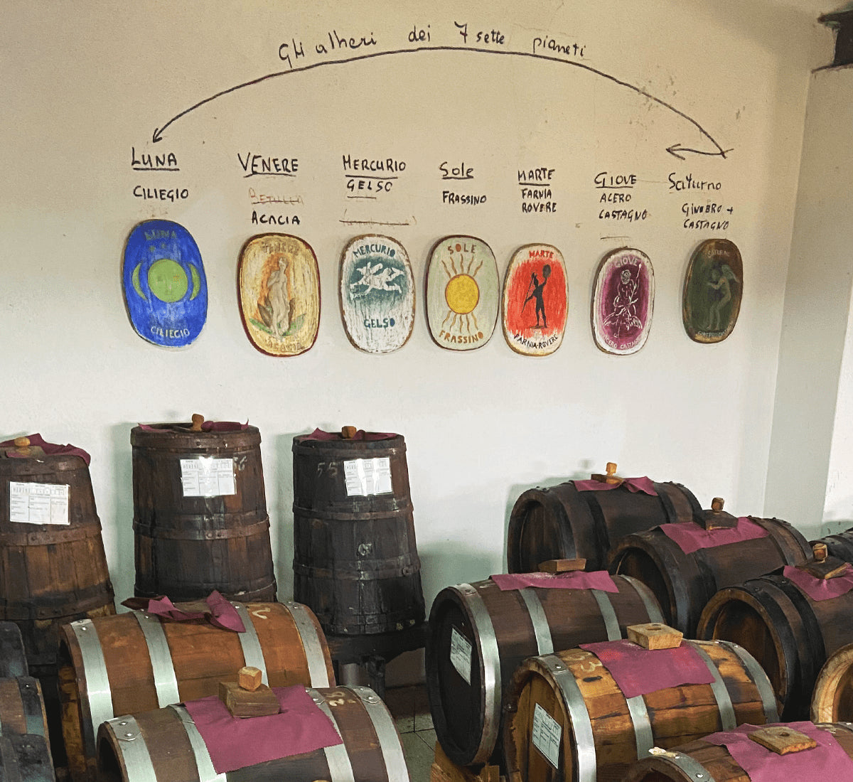 Antichi botti di legno custodiscono l'aceto balsamico, maturing tra raffigurazioni dei sette pianeti, un rituale per sapori pregiati.