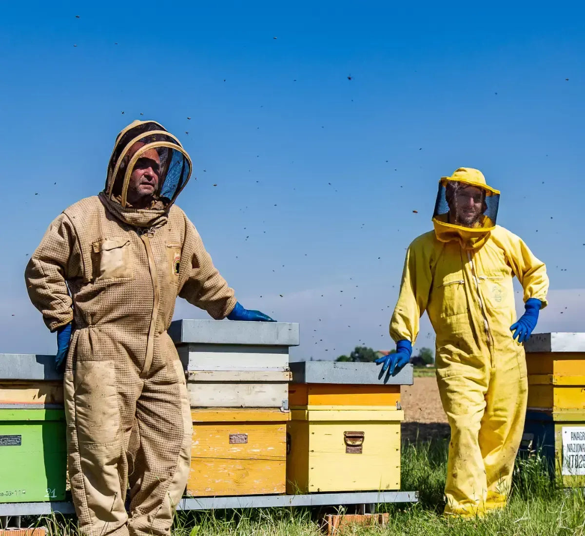 Apicoltori impegnati tra vivaci arnie nelle Prealpi Lombarde, sotto un cielo sereno, con api che volano intorno. Producono miele d'acacia fatto a mano.