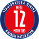 Over 12 Months