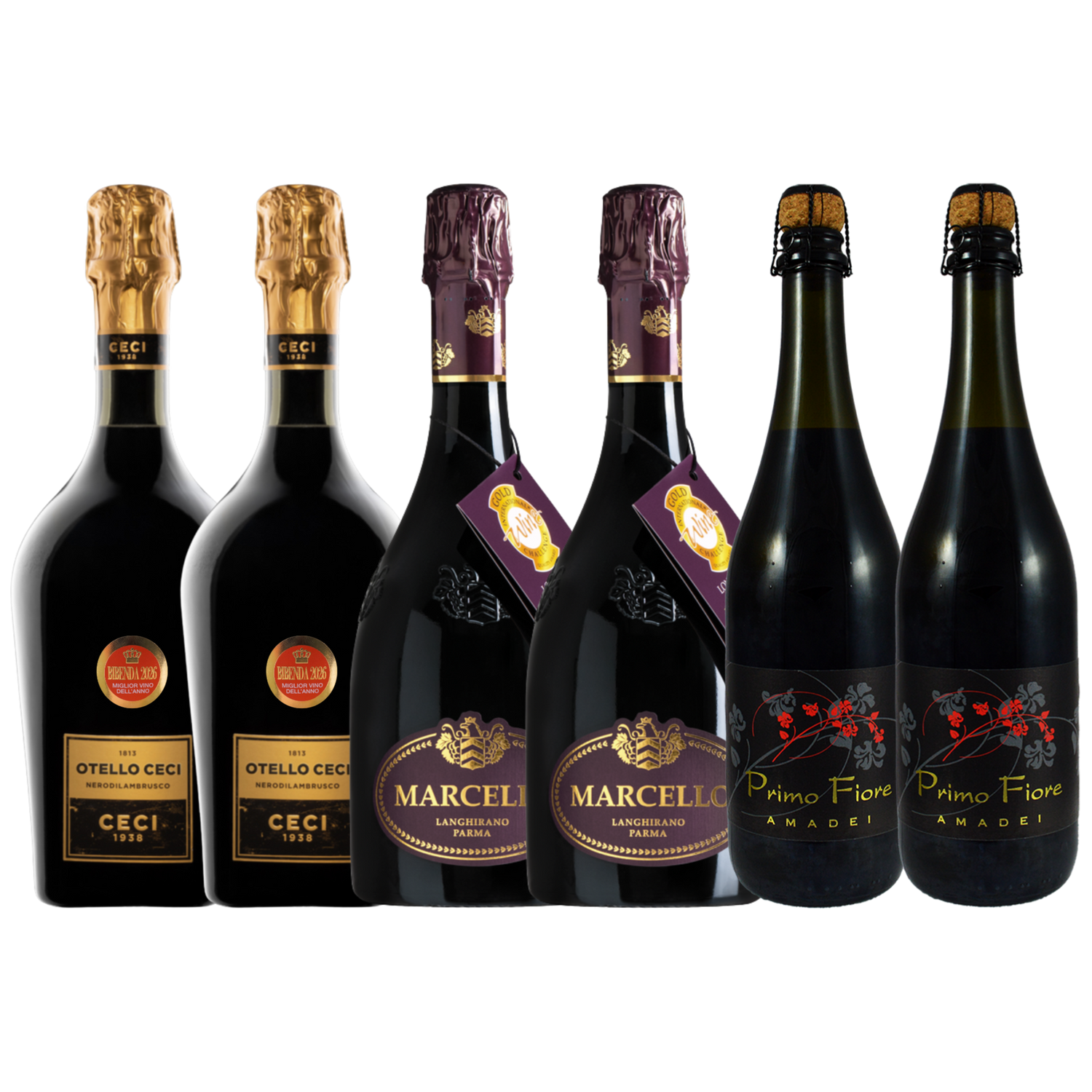 Degustazione - Lambrusco Emilia IGT