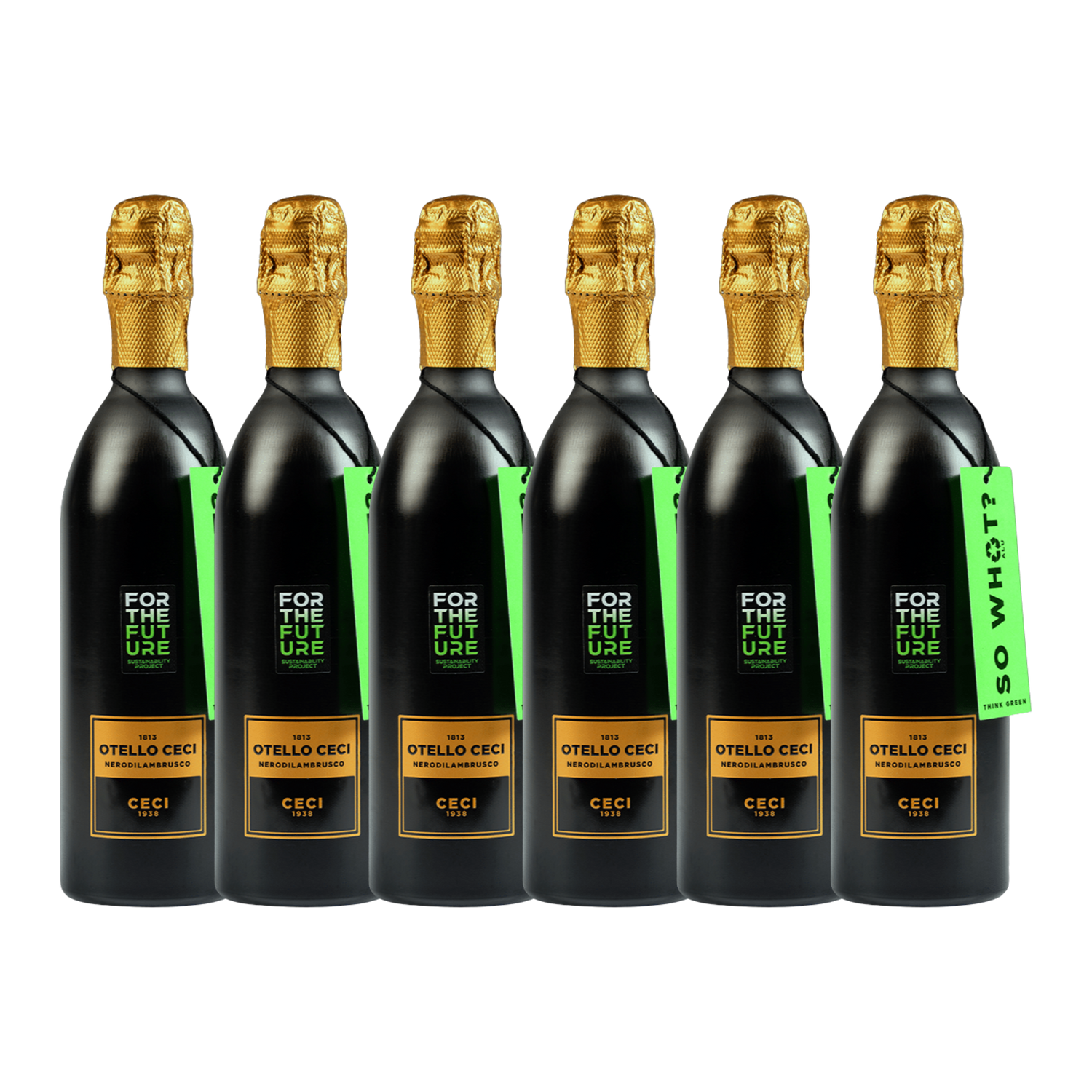 "Otello NERODILAMBRUSCO" - Lambrusco Emilia IGT - Ceci For The Future - Bottiglia in Alluminio (6 x 750 ml.)