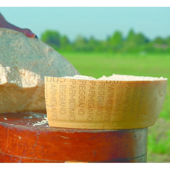 Una tavola di legno in campagna presenta un Parmigiano Reggiano biologico di 60 mesi, la cui crosta dorata e pasta friabile sono illuminate dal sole.